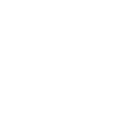 Navio Cara de Mau